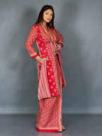 The Curvy Muse Fusion Saree Set