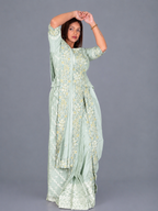 The Mint Muse Embroidered Insta Saree Set