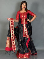 Black Banarasi Golden Zari Insta  Saree Set